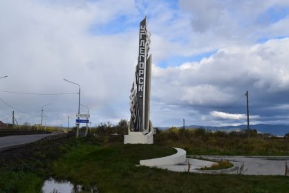 В Углегорске устанавливаются обстоятельства нападения собак на женщину